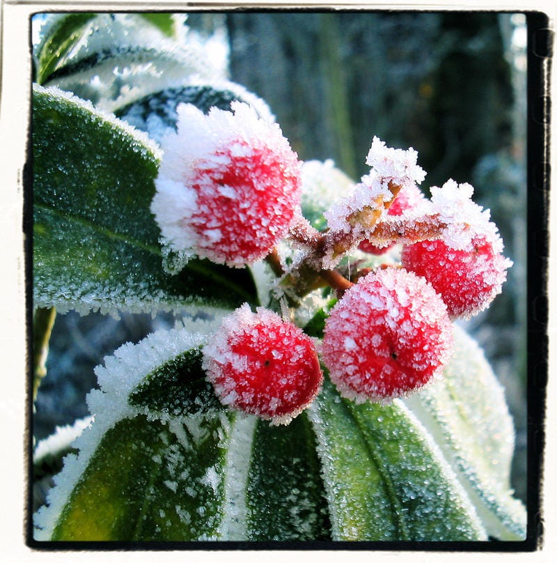 freezing moments 2 by nirrtis on DeviantArt