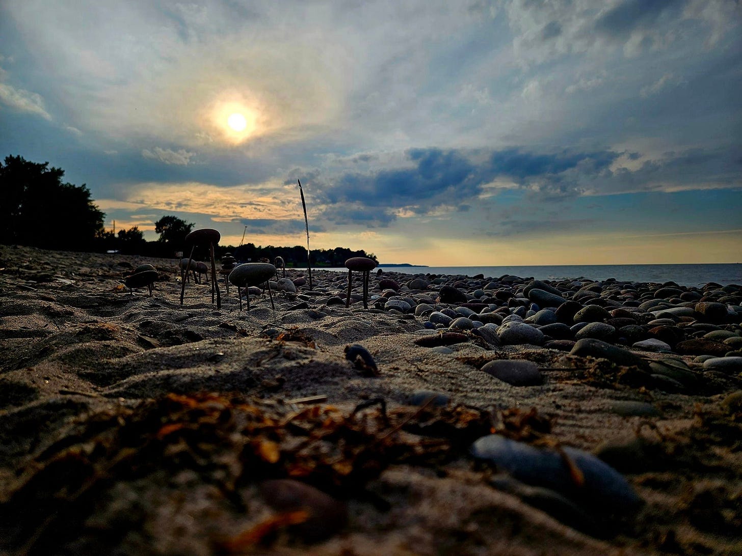 May be an image of twilight, horizon and beach