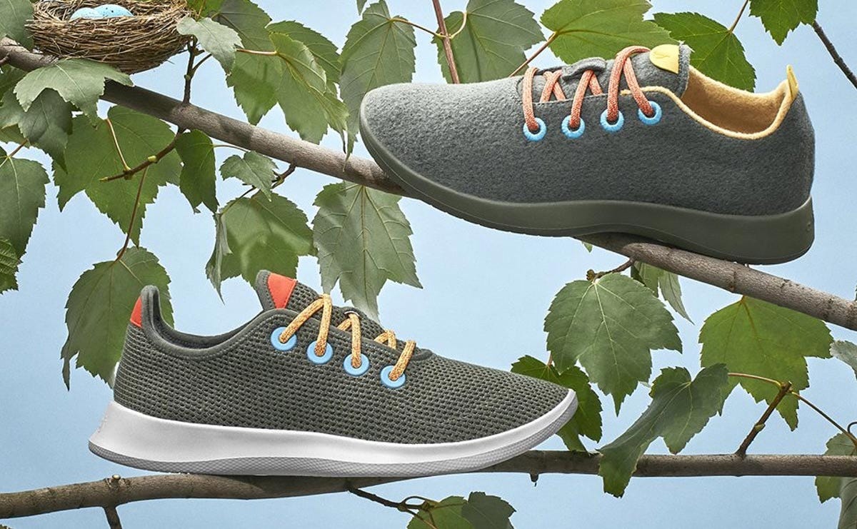 Here's how Allbirds sparked an eco-fashion battle with a pair of wool  sneakers | The Business of Business