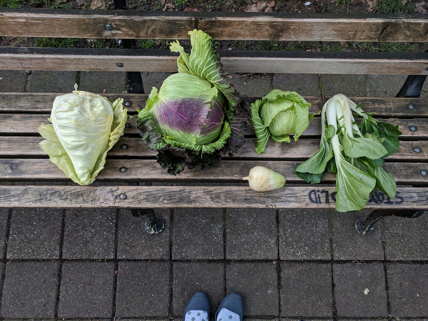 farmers market photo of veg on a bench