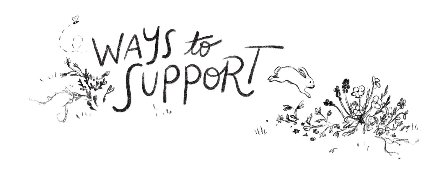 Ways to support header includes an illustrated white rabbit hopping into some wildflowers.