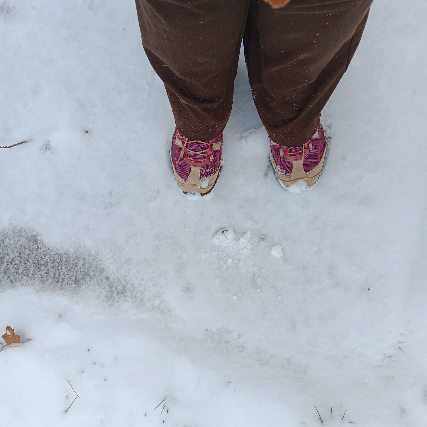 My feet in hiking boots, freezing in the snow at Raccoon Creek