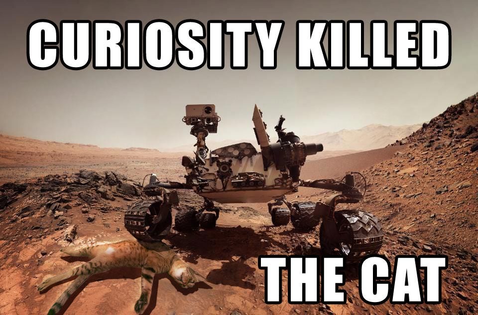 Curiosity Killed the Cat : r/memes