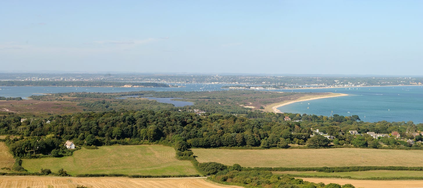 Studland Heath and beach