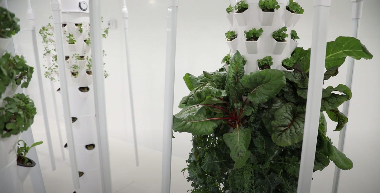 Indoor vertical hydroponics system featuring leafy greens growing lushly in white tower planters, exemplifying efficient space use in modern agriculture without soil