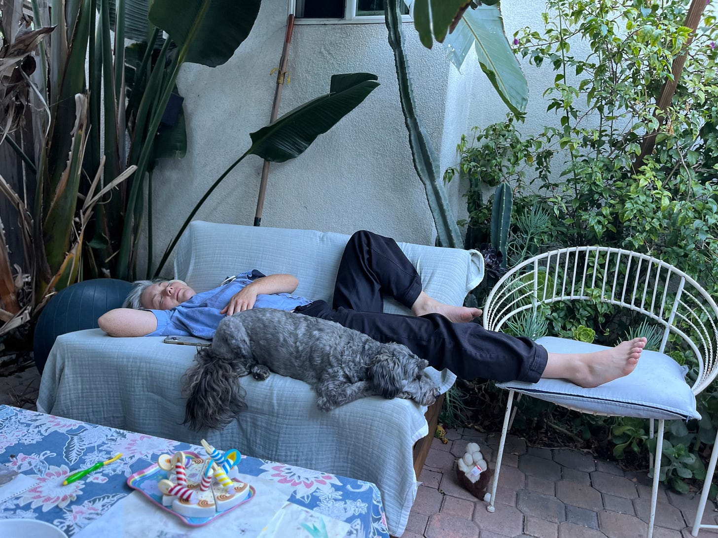 A photo of the author sleeping on an outdoor couch with a dog beside her.