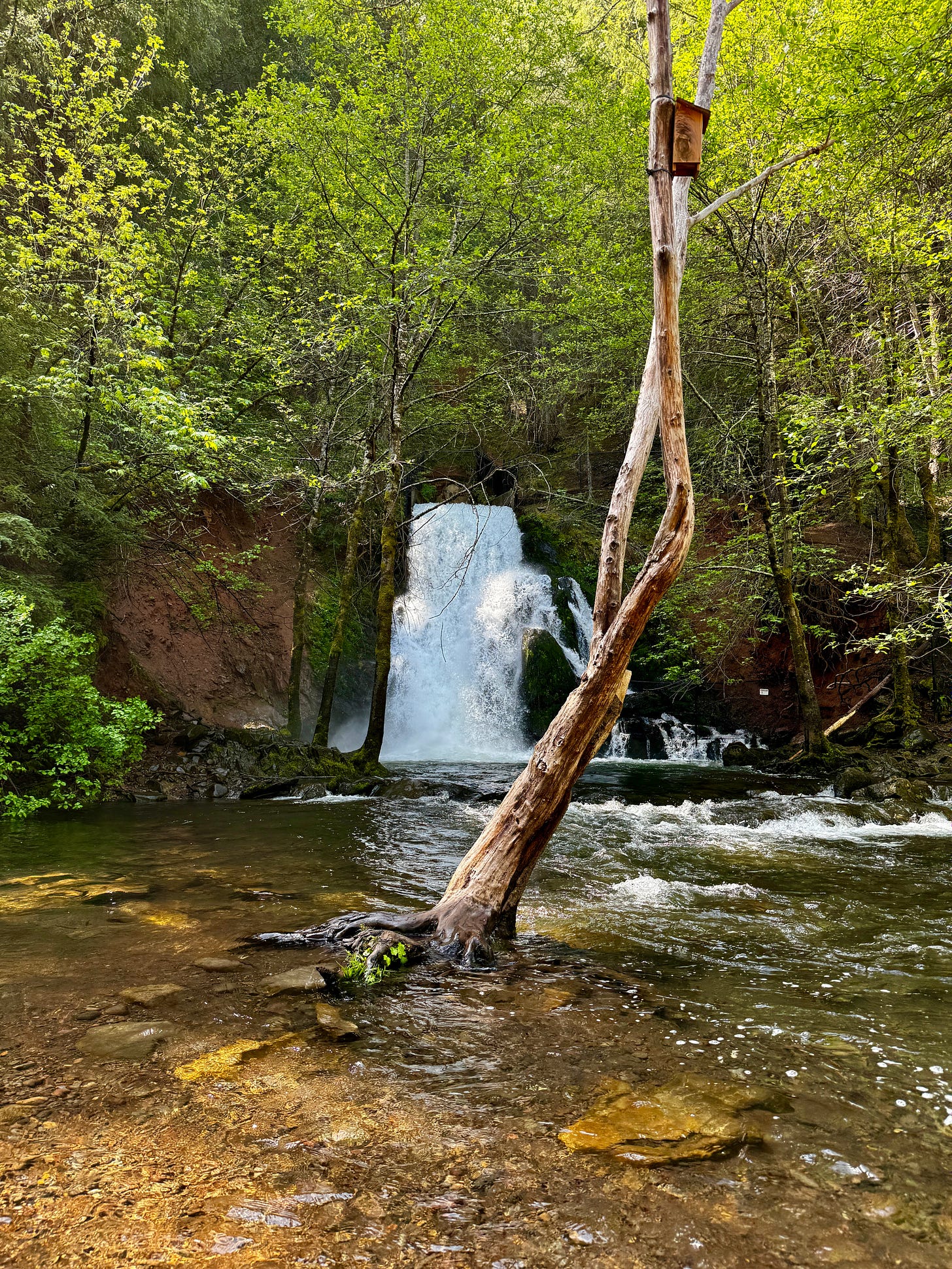 Waterfall