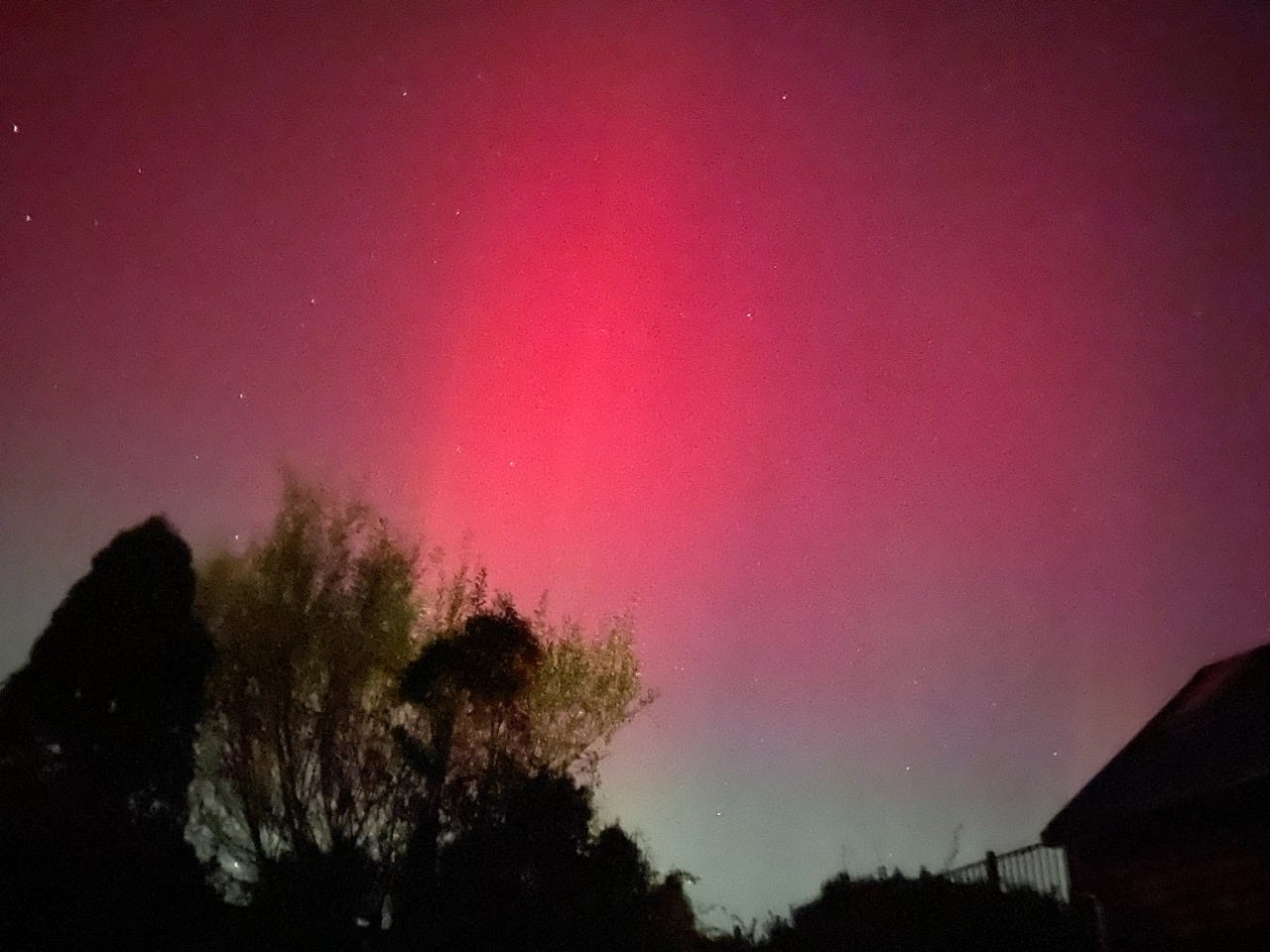 aurora borealis in rockkport ma color of red washing over night sky with hint of green at bottom trees silhouetted in bottom half of photo