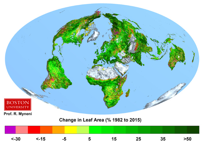 A map of the Earth showing how much different areas have greened since 1982