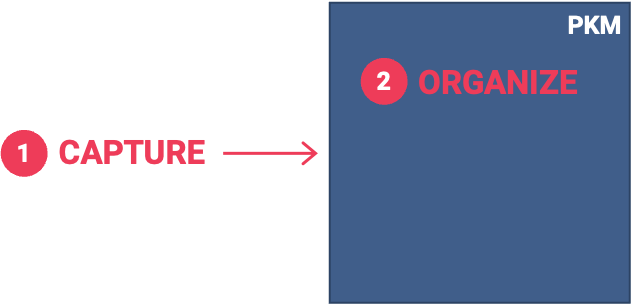 Personal Knowledge Management System: Organize System