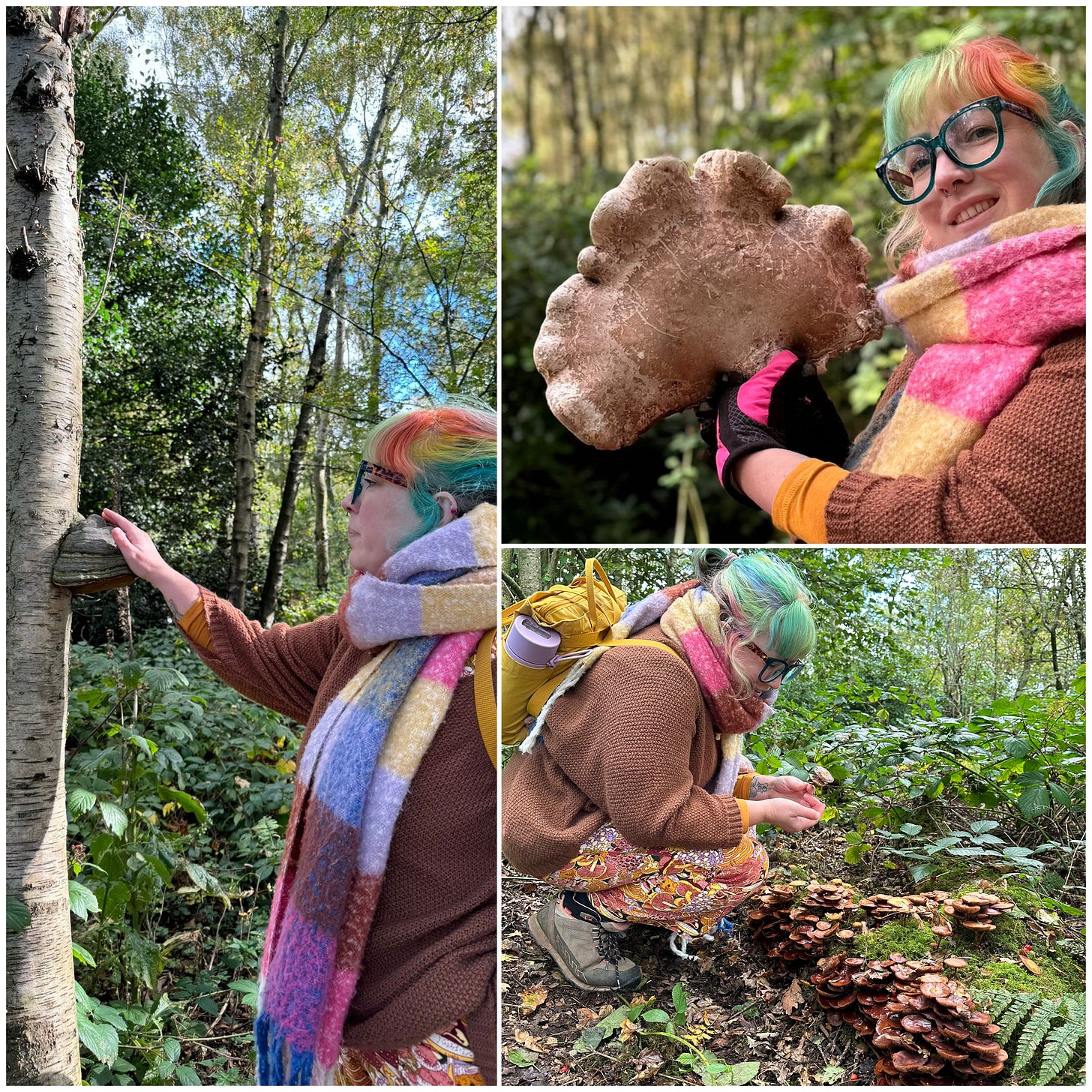 A woman with rainbow hair and wearing colourful clothing in a woodland, looking at different types of fungi