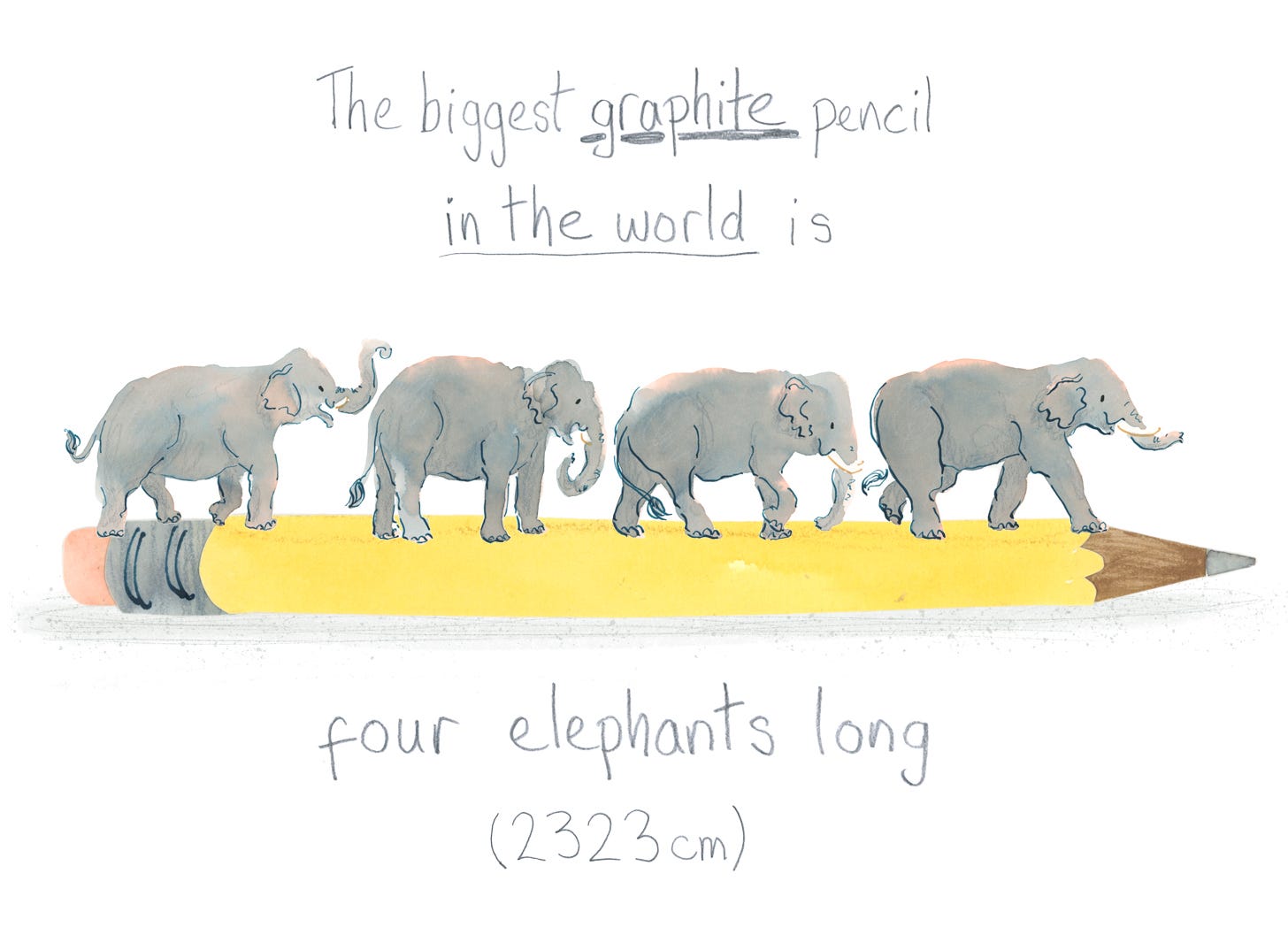 Watercolour illustration by Nanette Regan of four elephants walking across a yellow pencil. Handwritten text reads: The biggest graphite pencil in the world is four elephants long (2323cm)