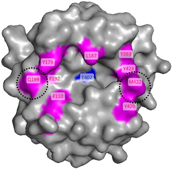 Discovery of potent and specific inhibitors targeting the active site of MMP -9 from the engineered SPINK2 library | PLOS ONE