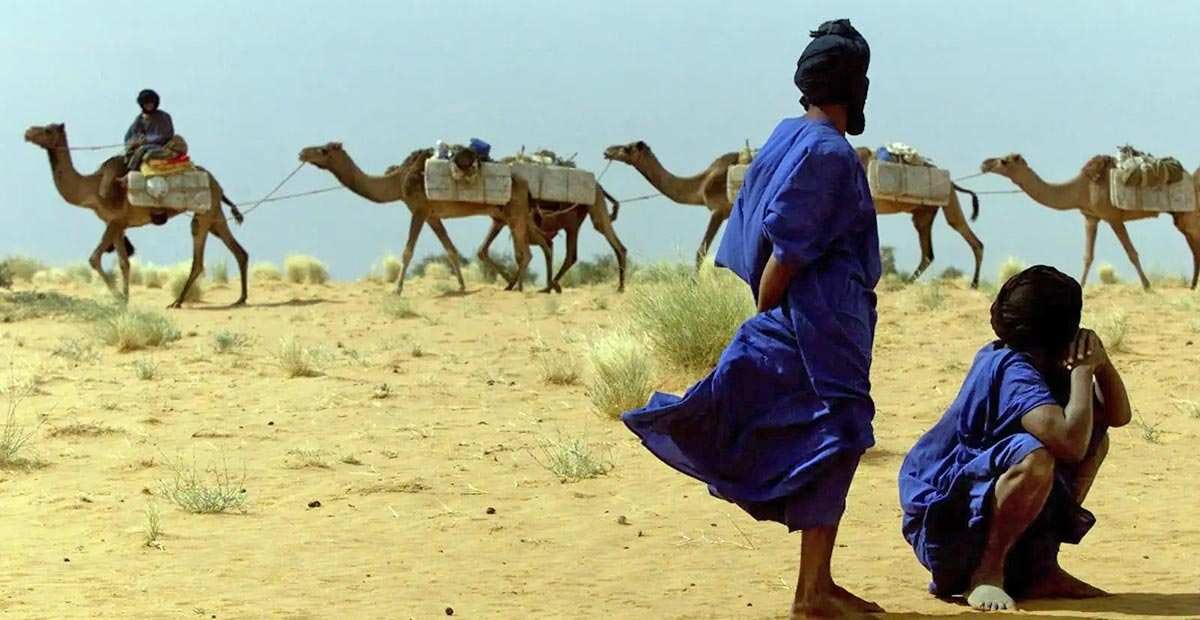 camel train sahara