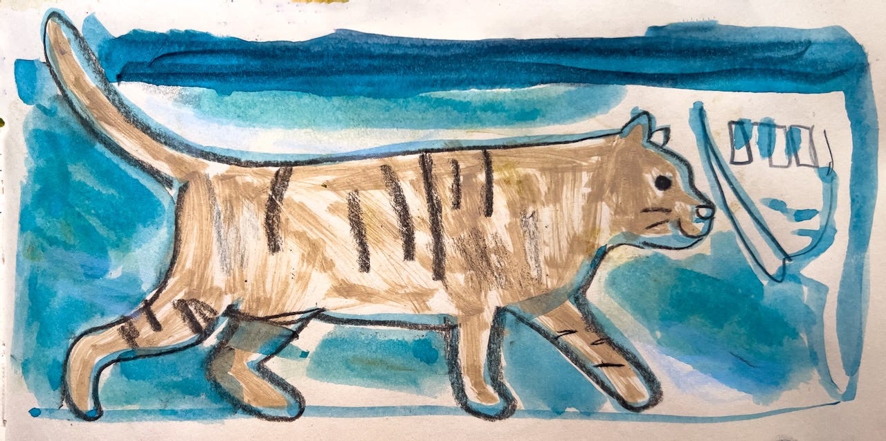 cat drawing by Beth Spencer