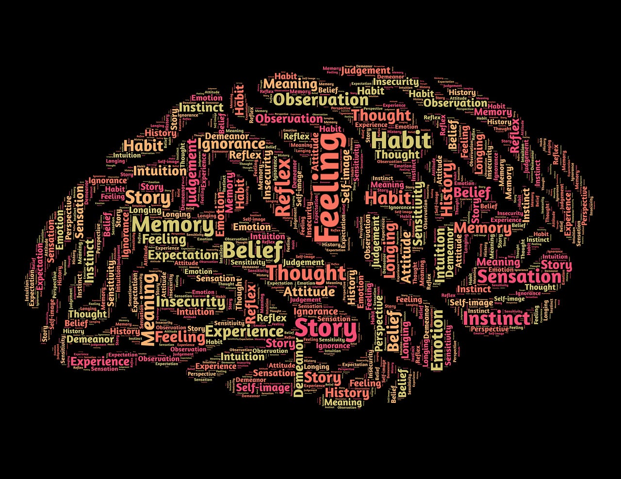 A picture of a brain with multicolored words overlayed throughout: demeanor, ignorance, reflect, intuition, story, longing, memory, feeling, expectation, reflex, thought, attitude, experience, perspective, habit, emotion, judgment, instinct, self-image, observation, sensitivity, demeanor