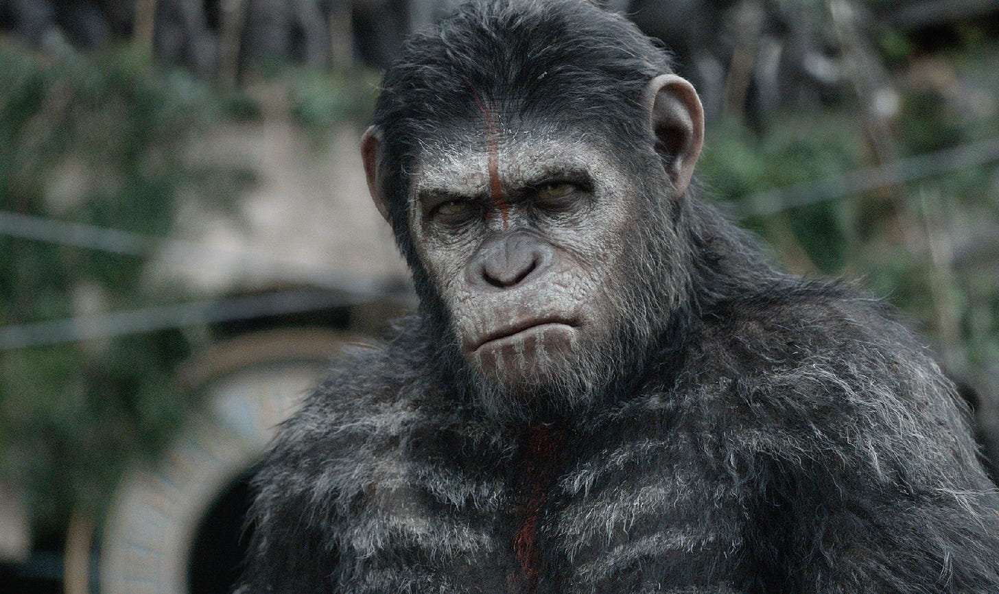 A Complete History of 'Planet of the Apes'