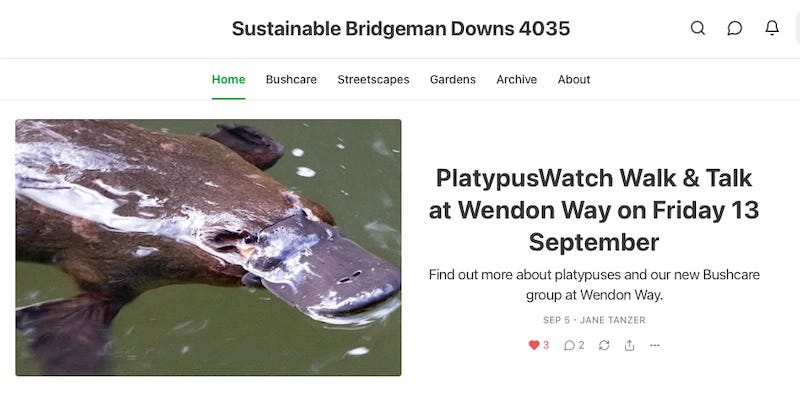 screenshot of the Sustainable Bridgeman Downs substack