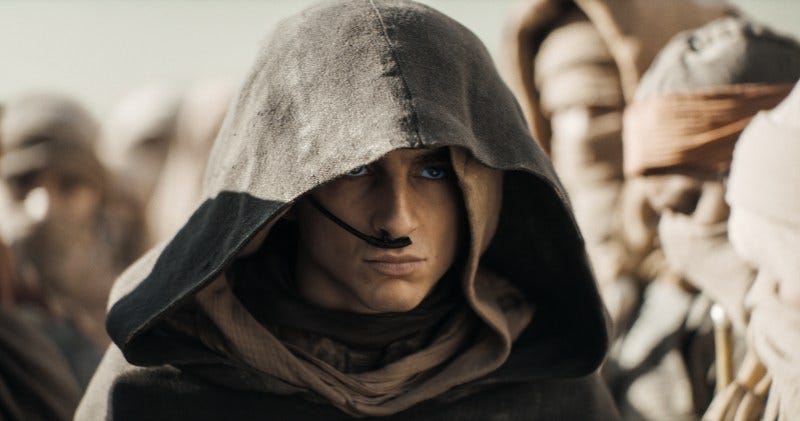 Timothée Chalamet in Dune: Part Two | Image via Warner Bros. Pictures