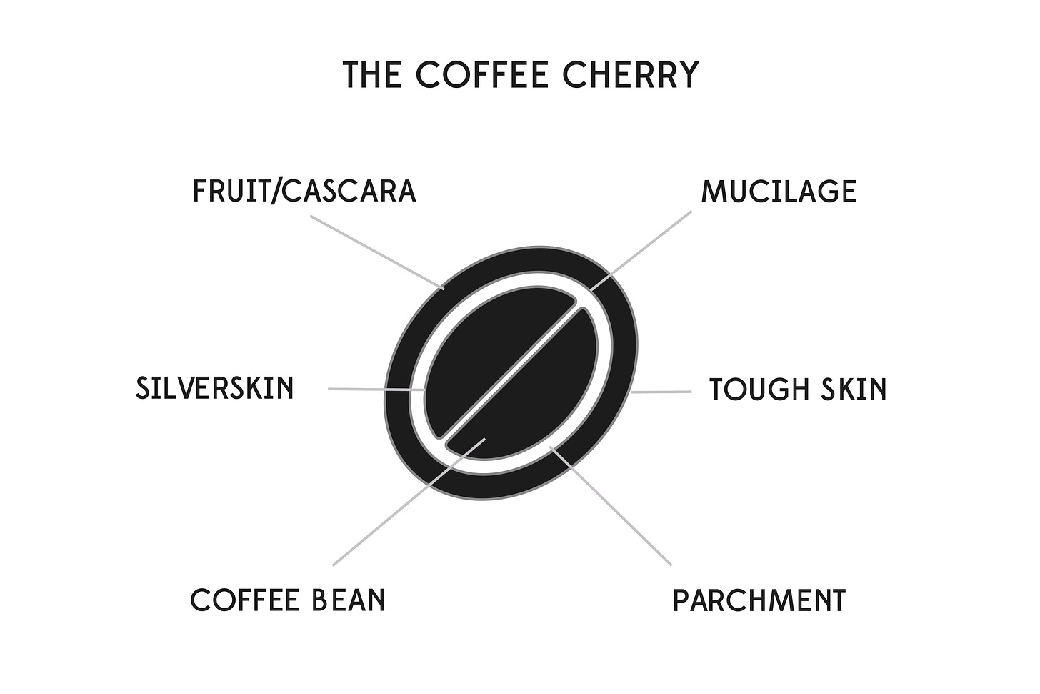 What-is-coffee-processing-origin-coffee-roasters