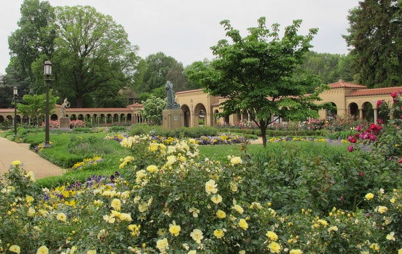 Roses at the Franciscan Monastery - Homestead Gardens, Inc.