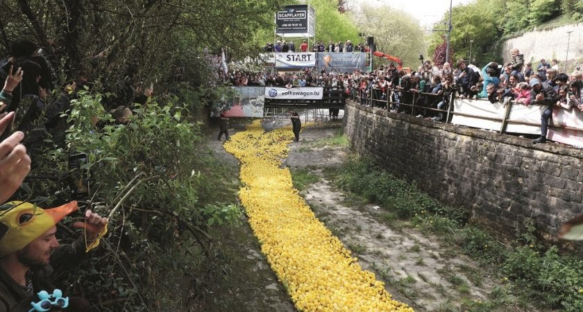 Duck Race : la vague jaune arrive sur Luxembourg