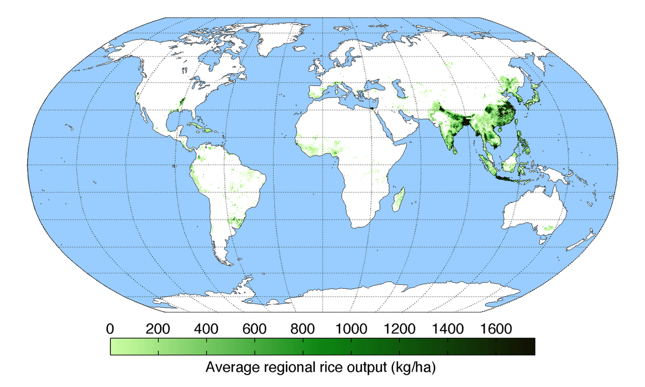 World map of rice production : r/MapPorn