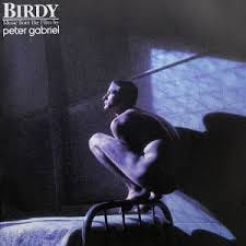 Birdy