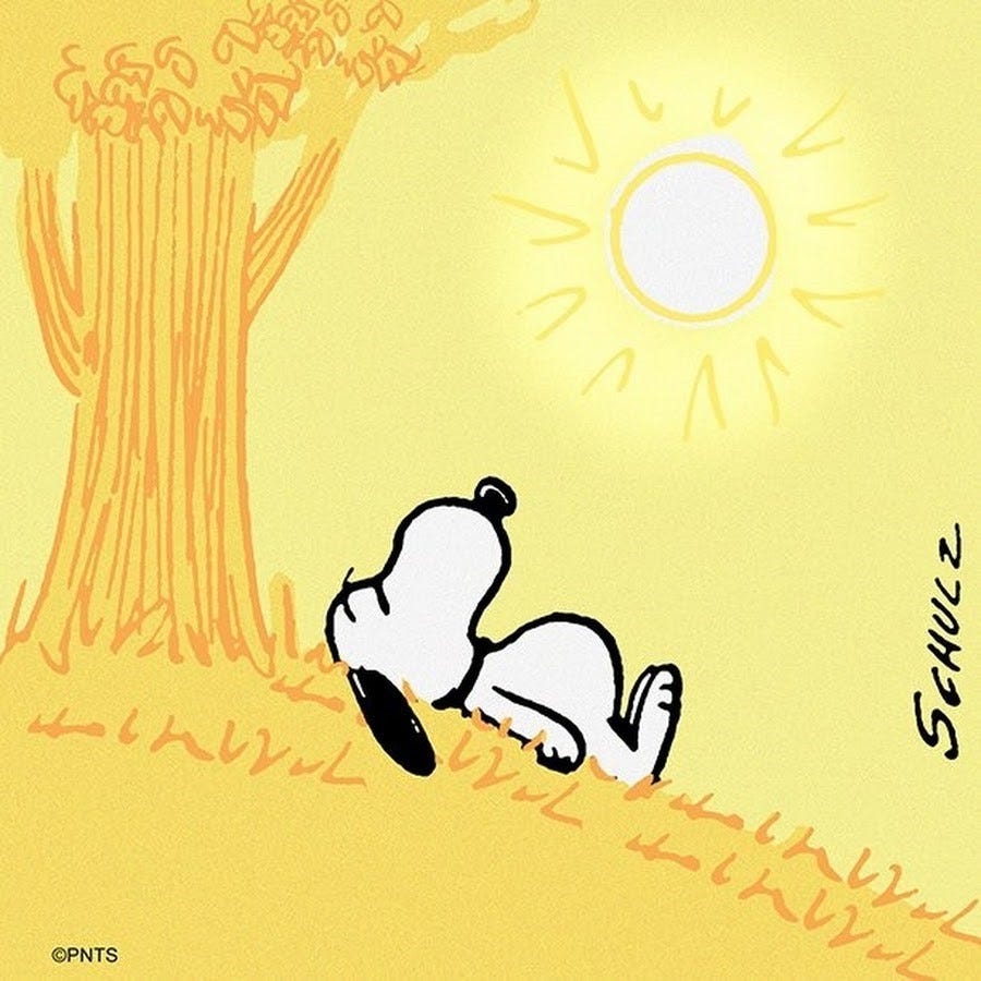 BesserFernsehen - Blog - Snoopy Wisdom For Life!