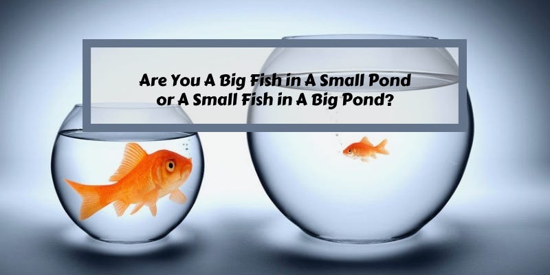 Are You a Big Fish in a Small Pond Or a Small Fish in a Big Pond? | by Mark  West | Medium