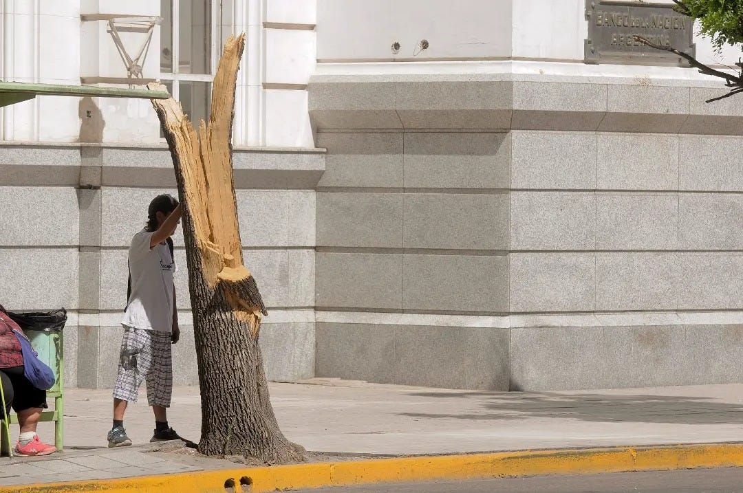 Puede ser una imagen de 2 personas, parquímetro, calle y árbol
