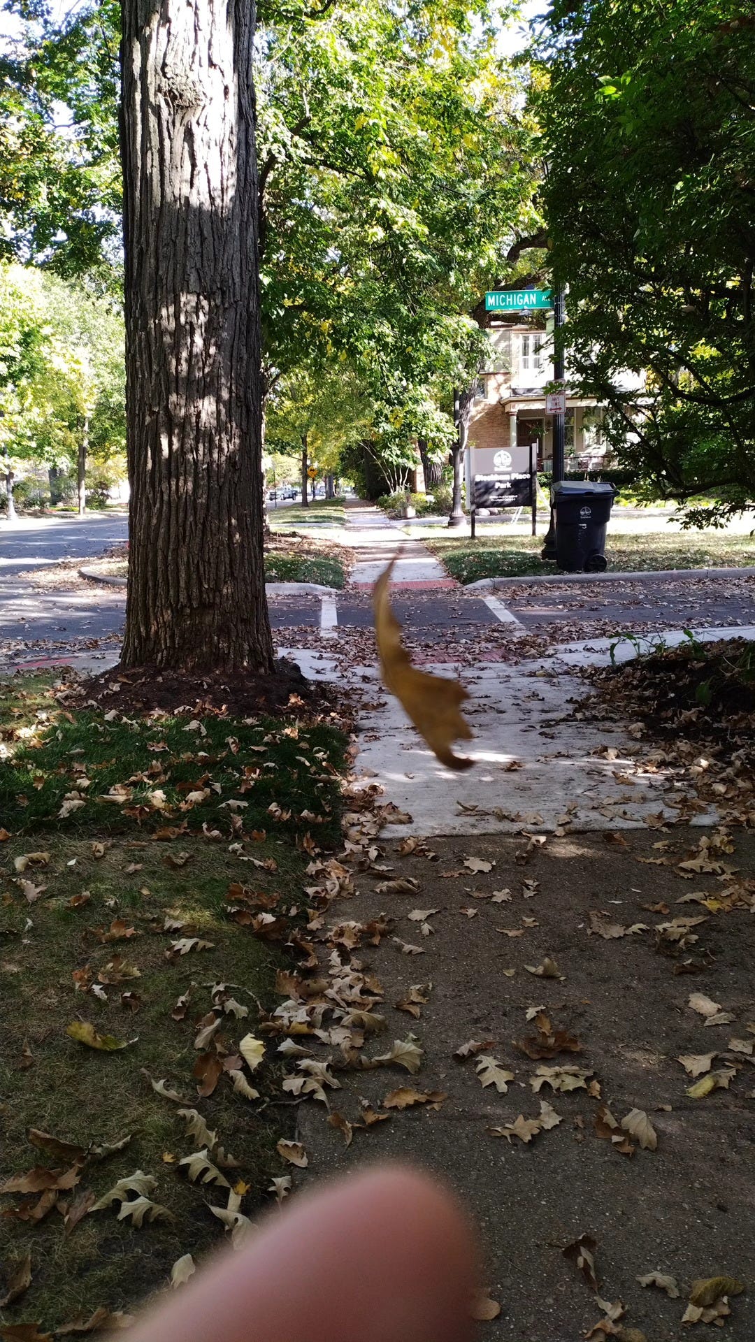 Finger points to levitating leaf