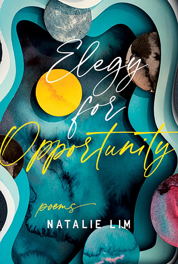 Elegy for Opportunity by Natalie Lim