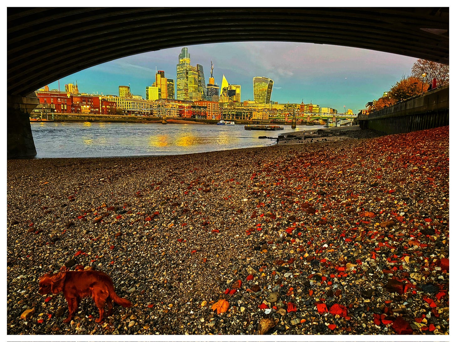 View From London’s Southbank