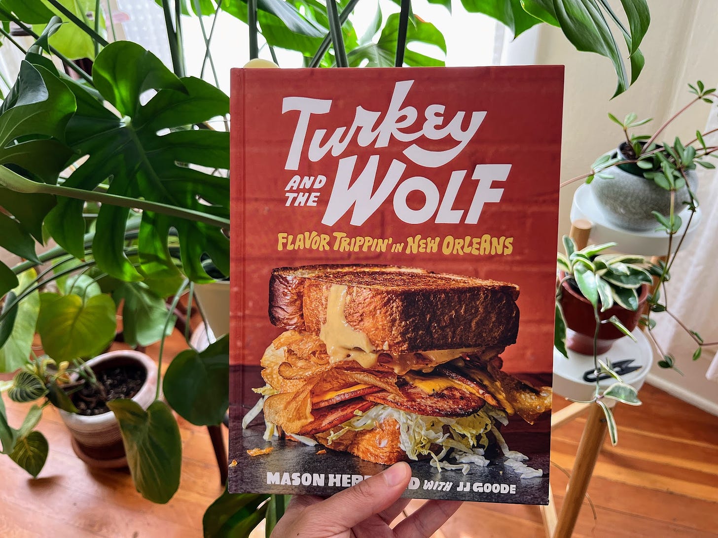 Hand holding Turkey and the Wolf cook book