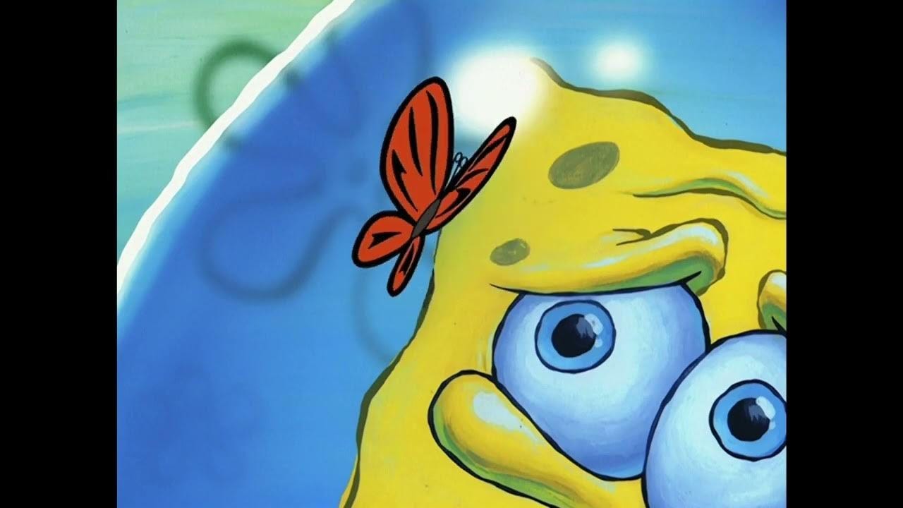 SpongeBob Watching Wormy the Butterfly for 10 Hours - YouTube