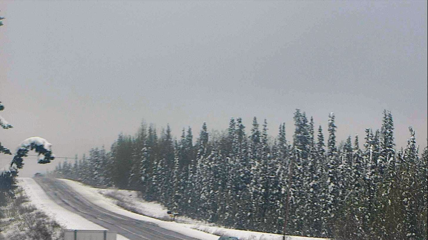 Alaska DOT webcam at mile 176.6 Glenn Highway, west of Glennallen at Noon AKDT May 30th showing snow on the spruce trees and sides of the raoad but road surface wet. H/T @CarrieNash@mstdn.social