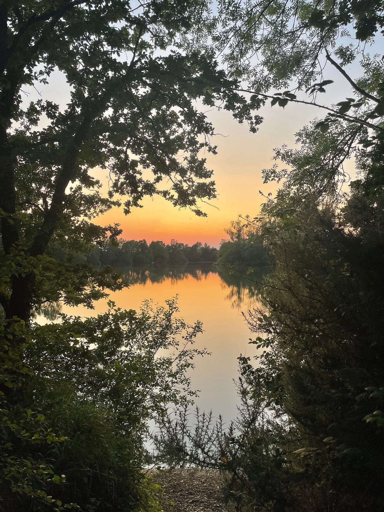 June sunset over a lake with trees and hedgerows in foreground.