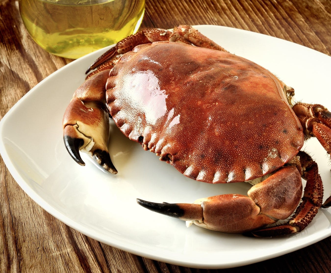 Cornish Crab | Whole Cooked Crab | Buy Cornish Crab Online Cornish Food  Delivered | Cornish Food Box Company