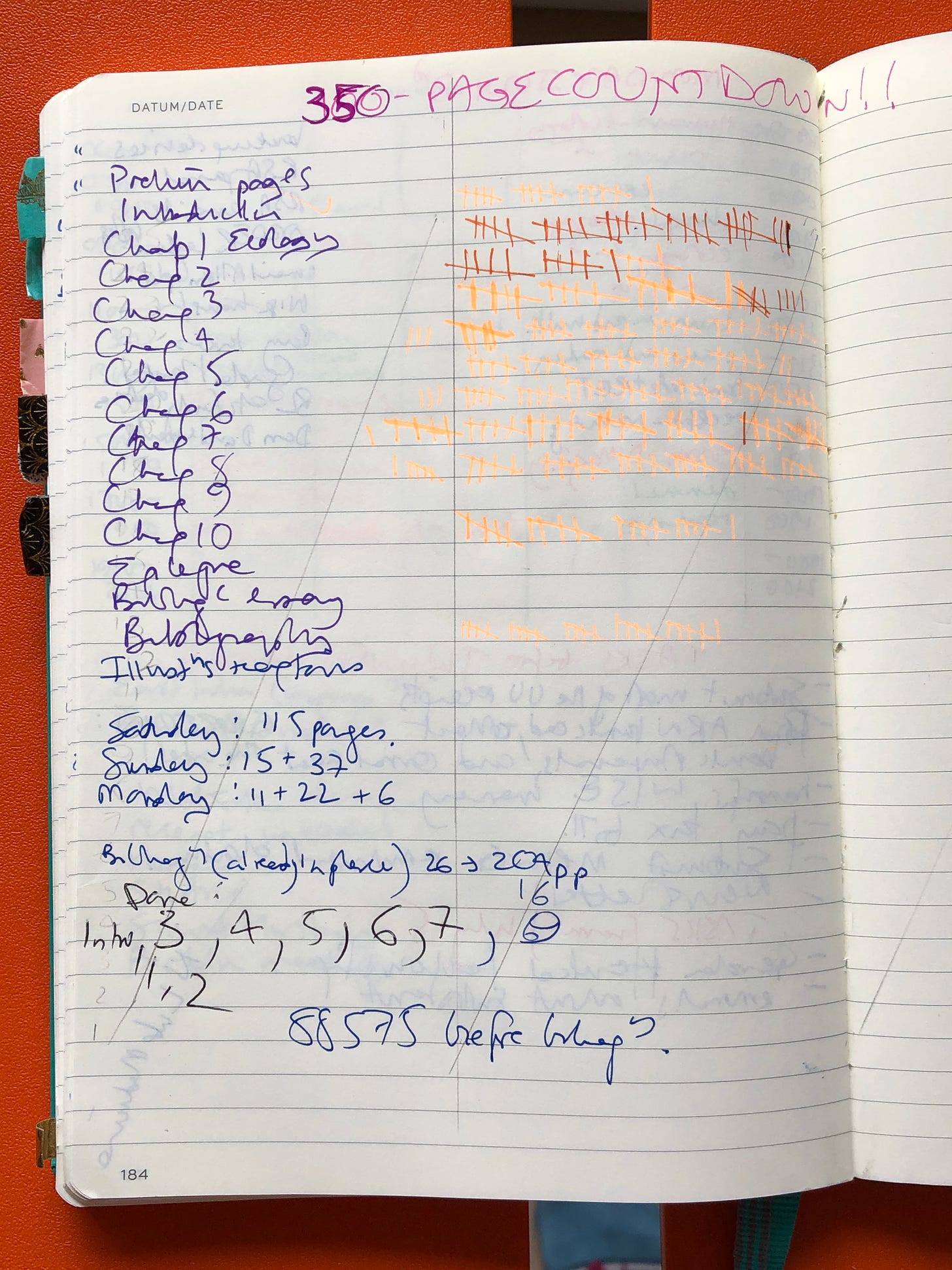 A messy scrawl of a page countdown, with chapter names/numbers down the left-hand side and pages completed checked off along the horizontal lines. Miscellaneous mysterious notes run along the bottom of the page.