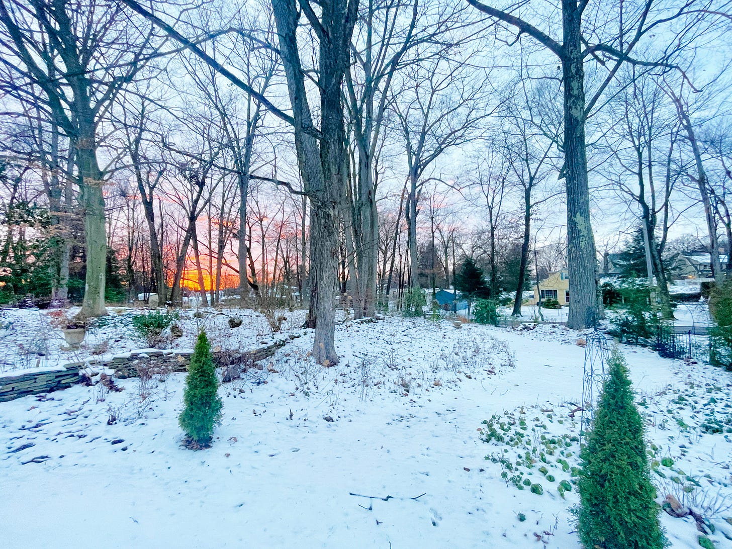 Havenwood with Christmas snow this year. Sunset over the Woodland Garden