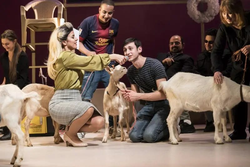 Two actors crouch on a stage surrounded by live goats.
