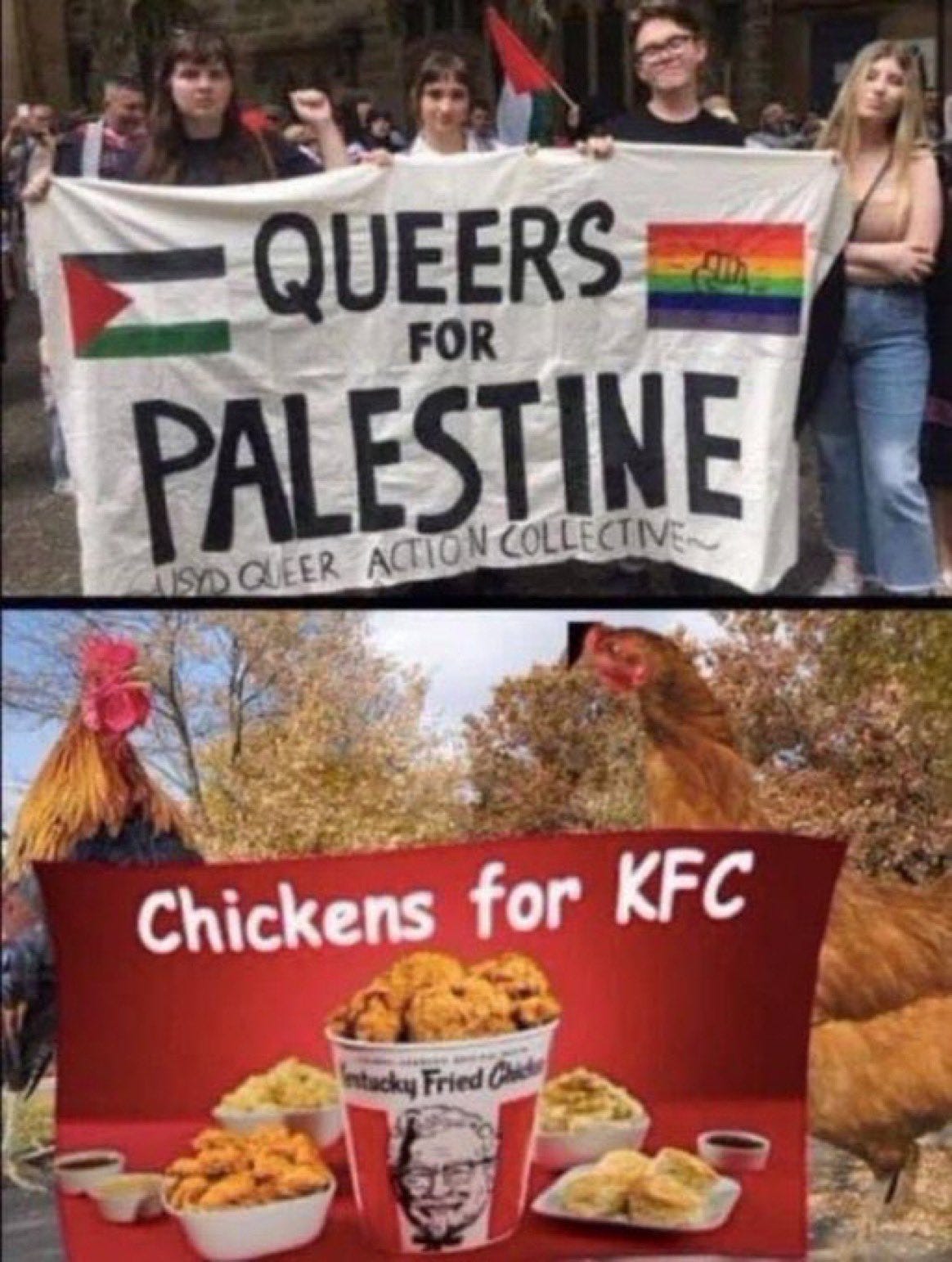 Hananya Naftali on X: "Queers for Palestine is just like chicken for KFC.  https://t.co/M8JO2PP0hk" / X