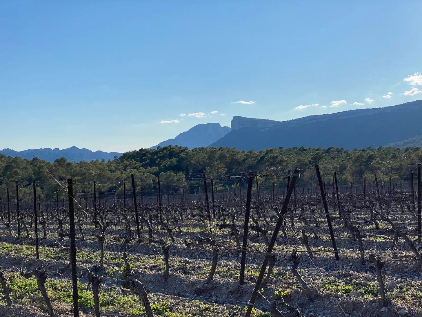 Hortus et pic Saint-Loup Hortus et pic Saint-Loup