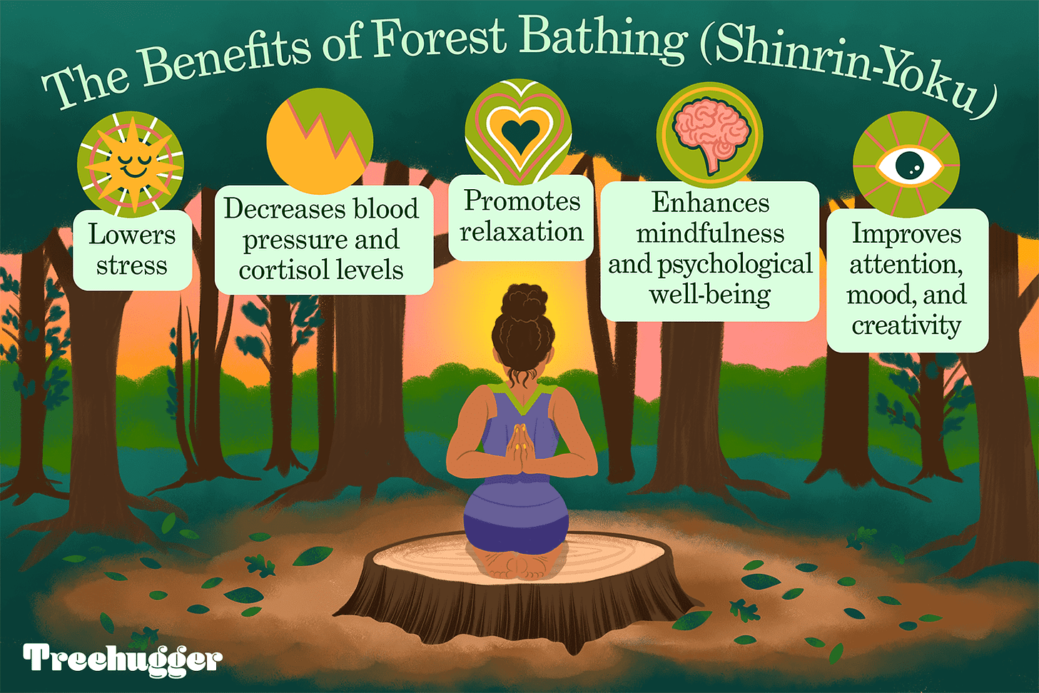 Forest Bathing: What It Is and Benefits