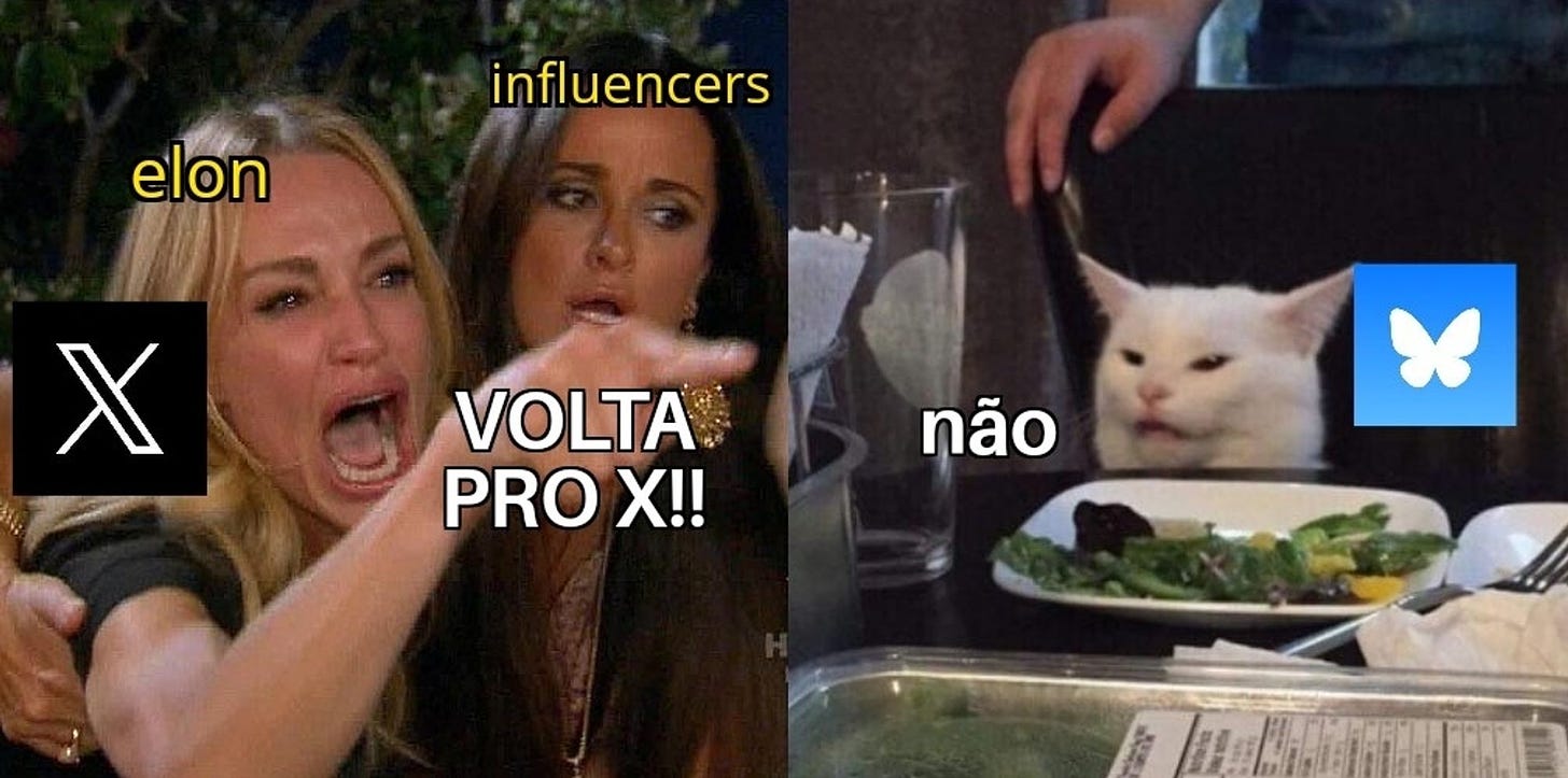 Meme da mulher e gatos argumentando aos gritos. A mulher gritando representa o Elon, a d lado representa os influencers e dizem "volta pro X!!!". O gato é o BlueSky dizendo "não". 