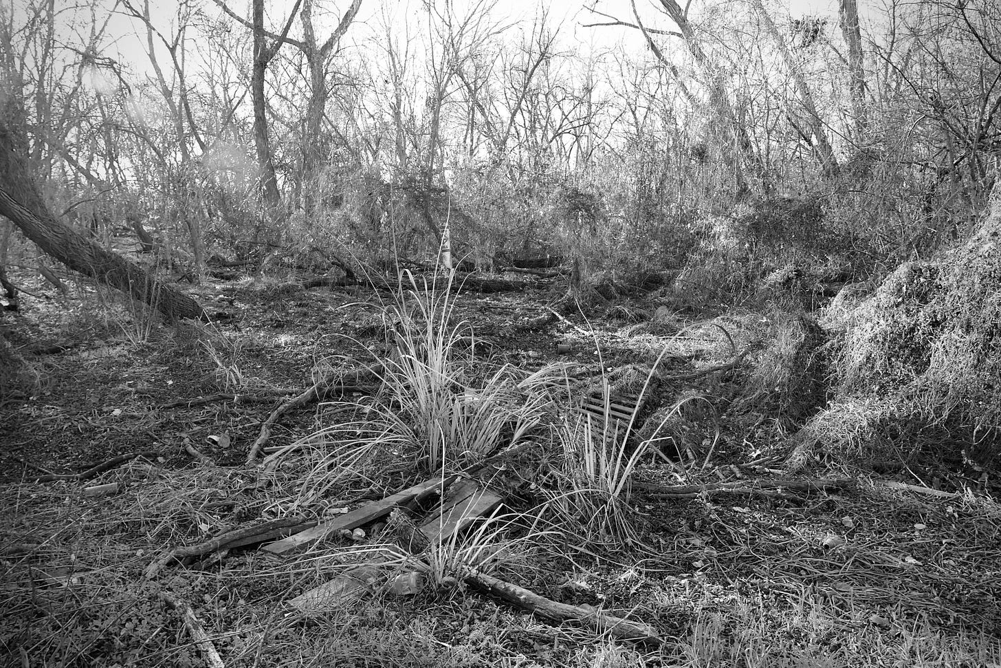 Black and white photo of a dried out edgeland creek, with flotsam lumber made into a crude bridge in the foreground, and a swim area buoy in the background