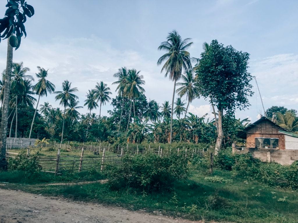 The Philippines - "The Pearl of the Orient Sea"