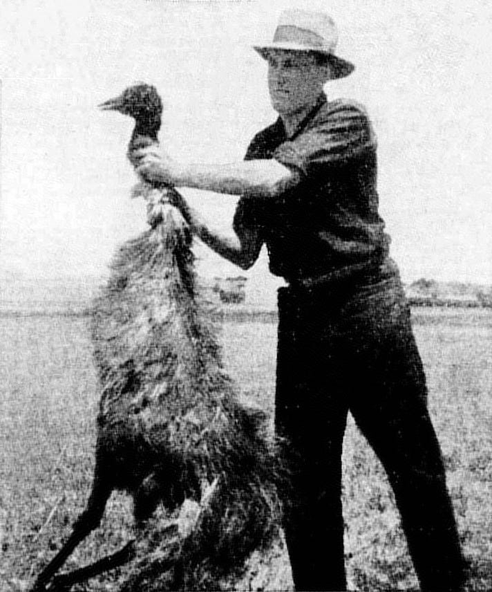 A black and white photo of a man holding a dead emu by the neck.