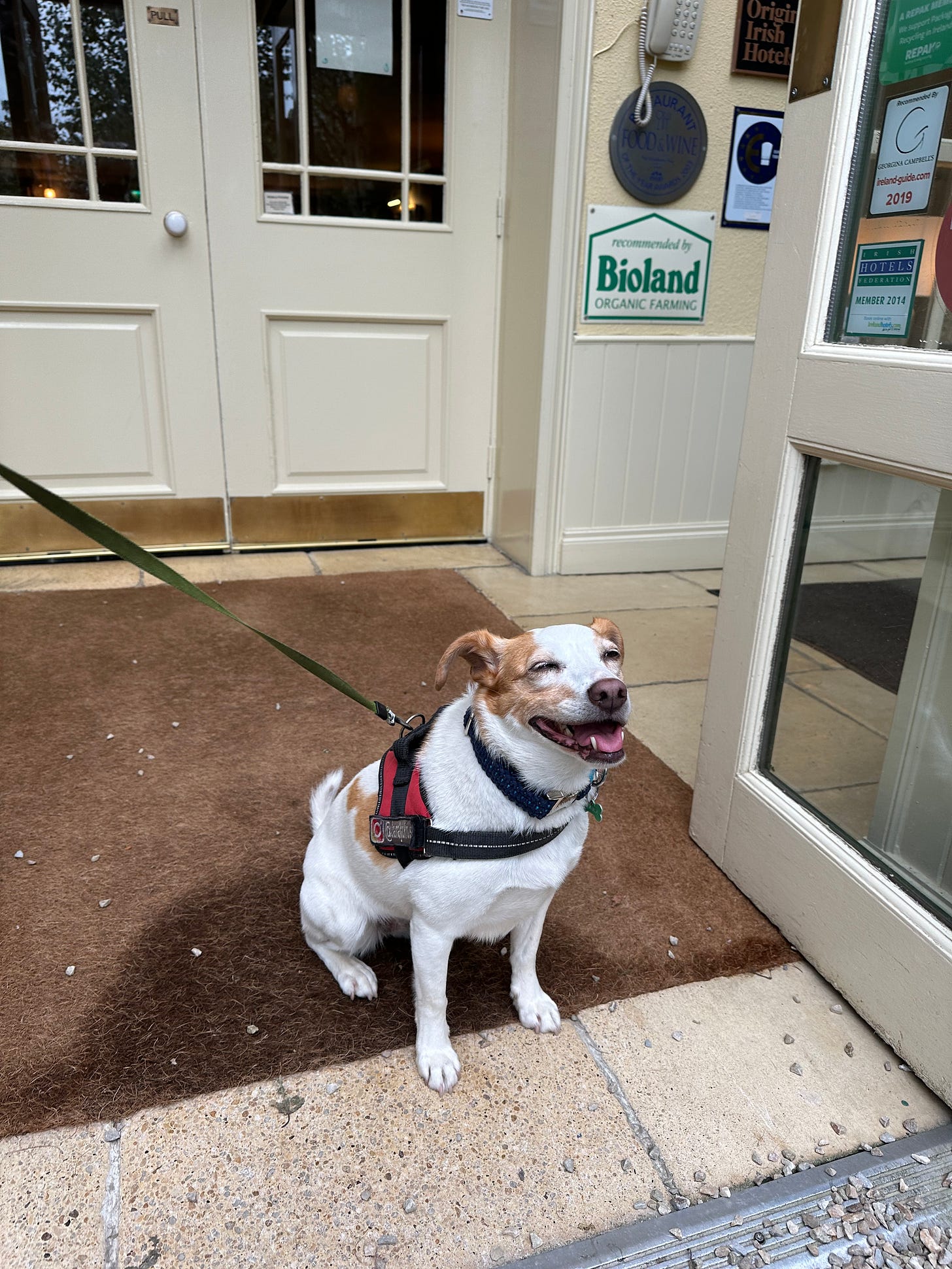 Clara loving life at BrookLodge & Macreddin Village